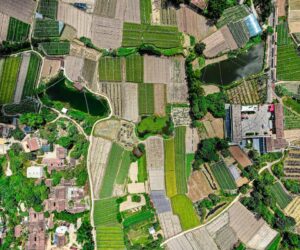 Madagascar - Best Airlines to Madagascar Ranked