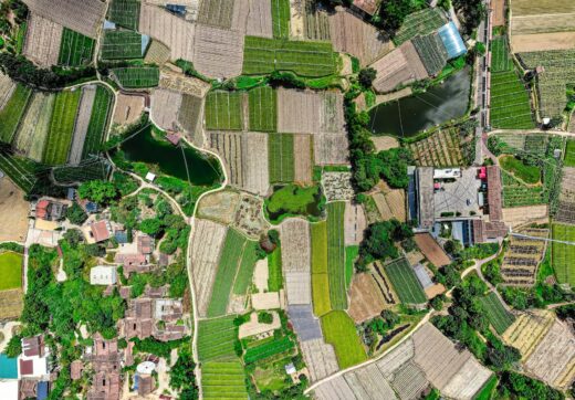 Madagascar - Best Airlines to Madagascar Ranked