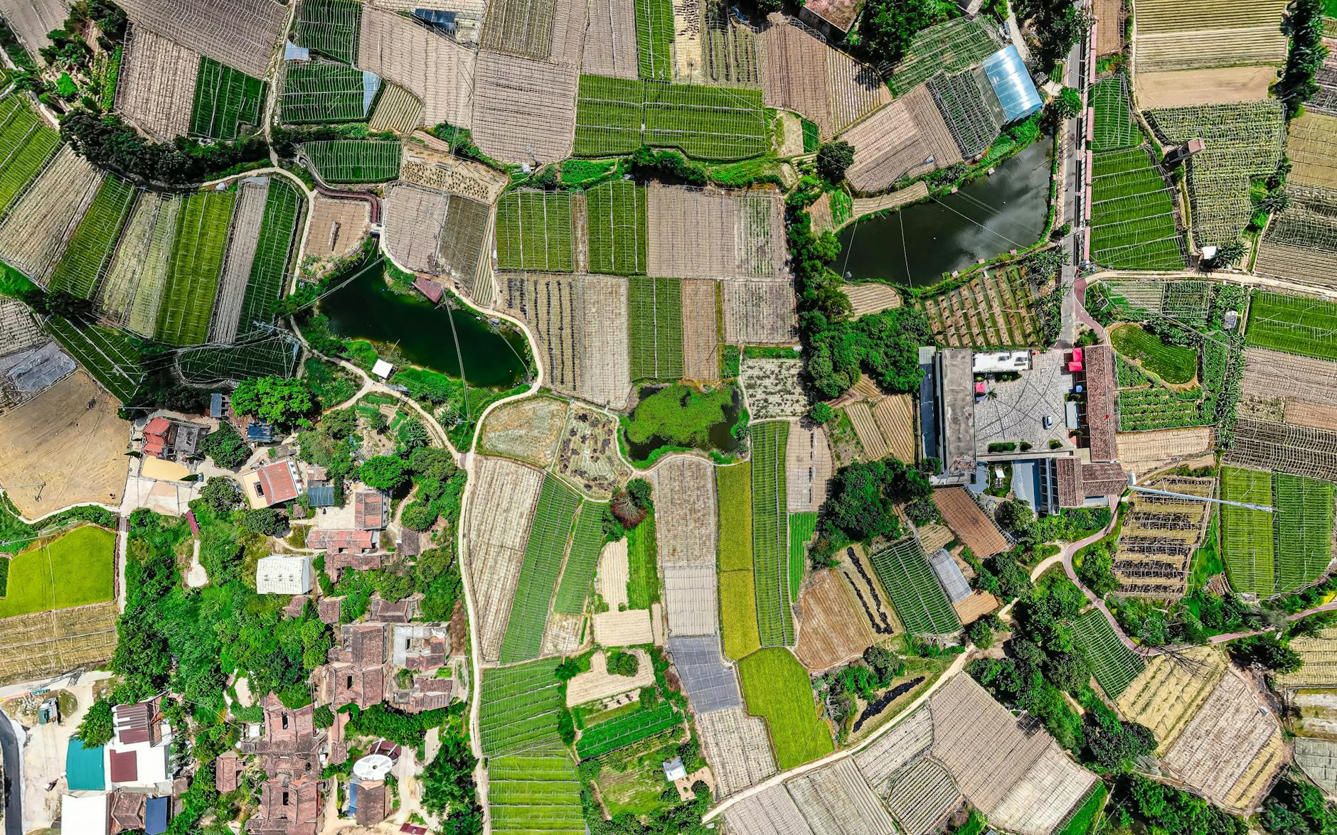 Madagascar - Best Airlines to Madagascar Ranked