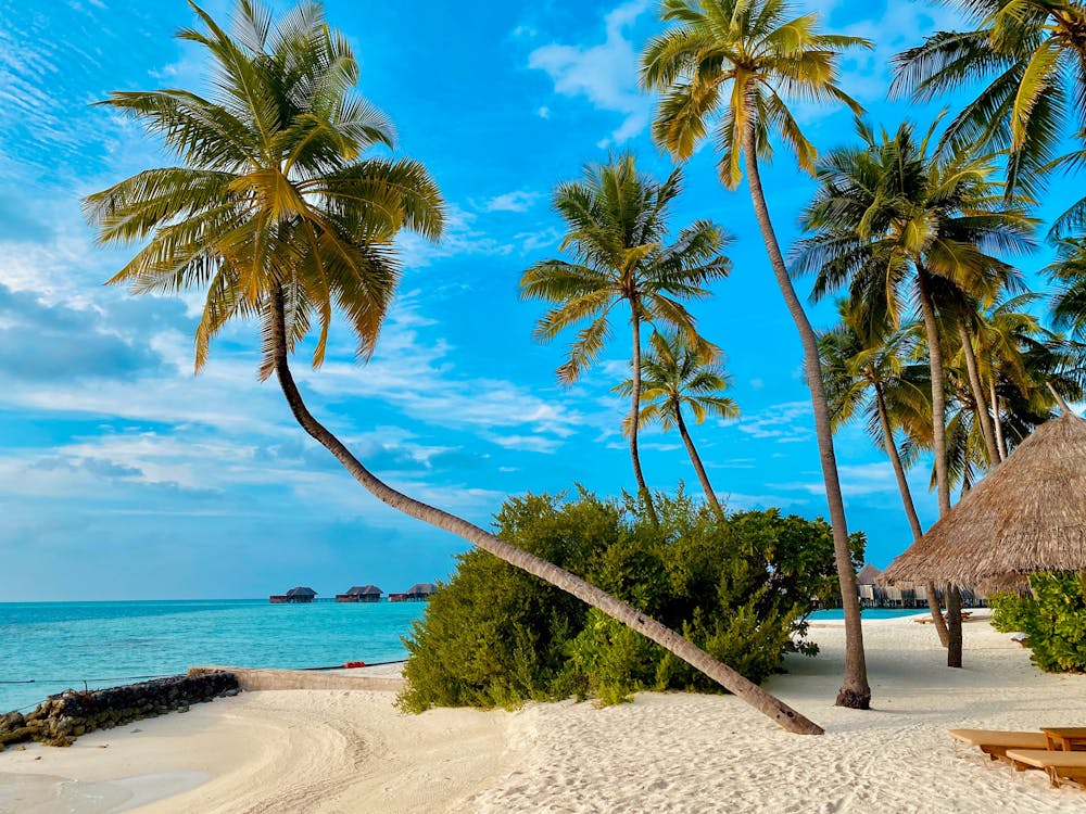 Tropical beach with turquoise water in Nosy Be, Madagascar