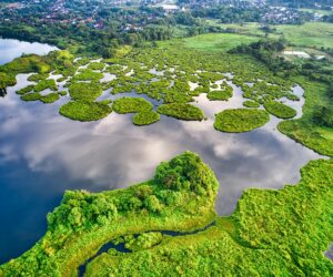 Madagascar - Booking Flights Madagascar Strategy