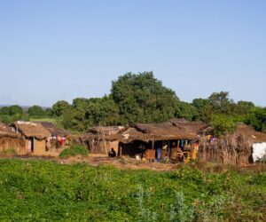 Madagascar - Car Rental Madagascar Guide