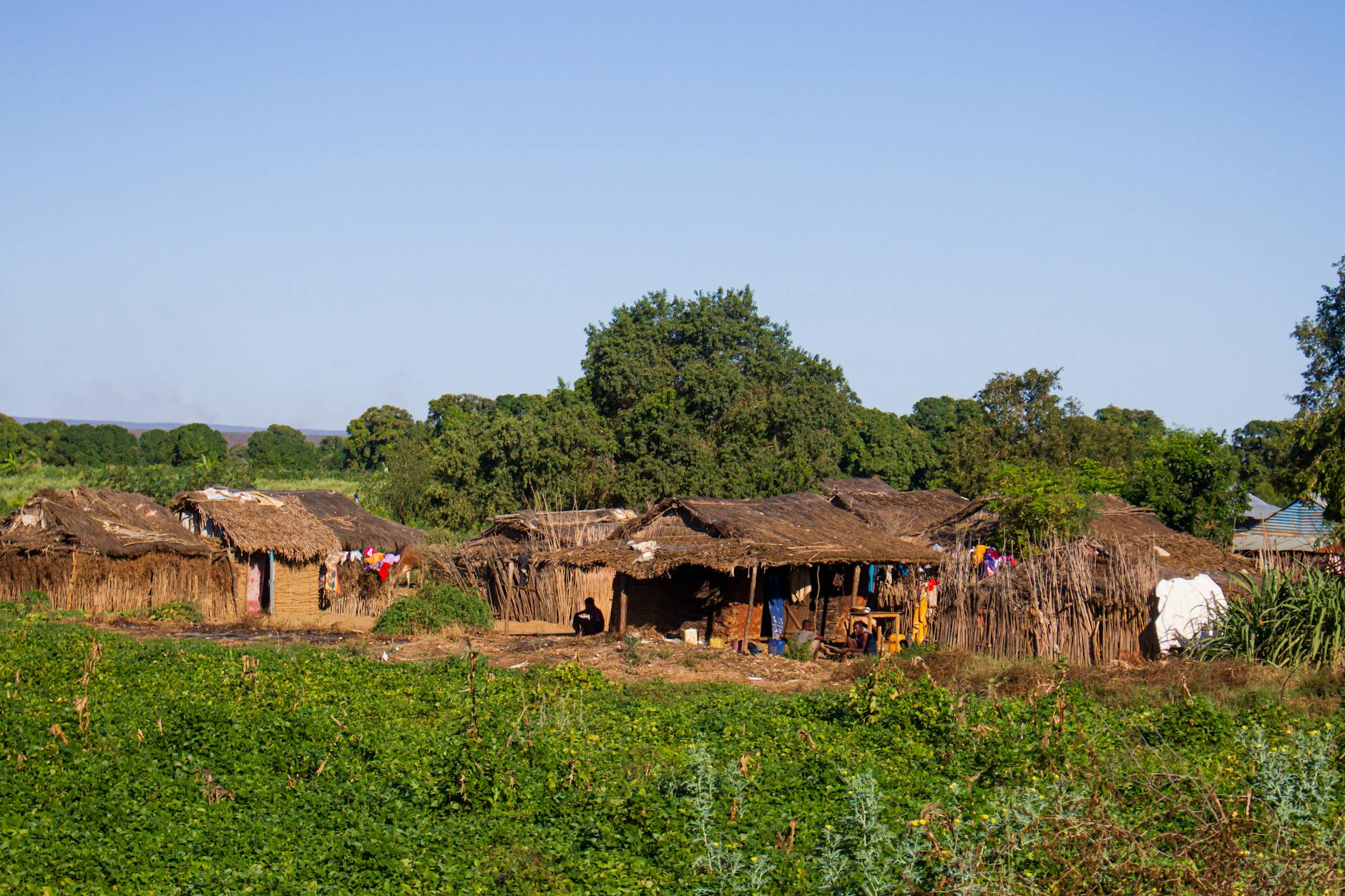 Madagascar - Car Rental Madagascar Guide