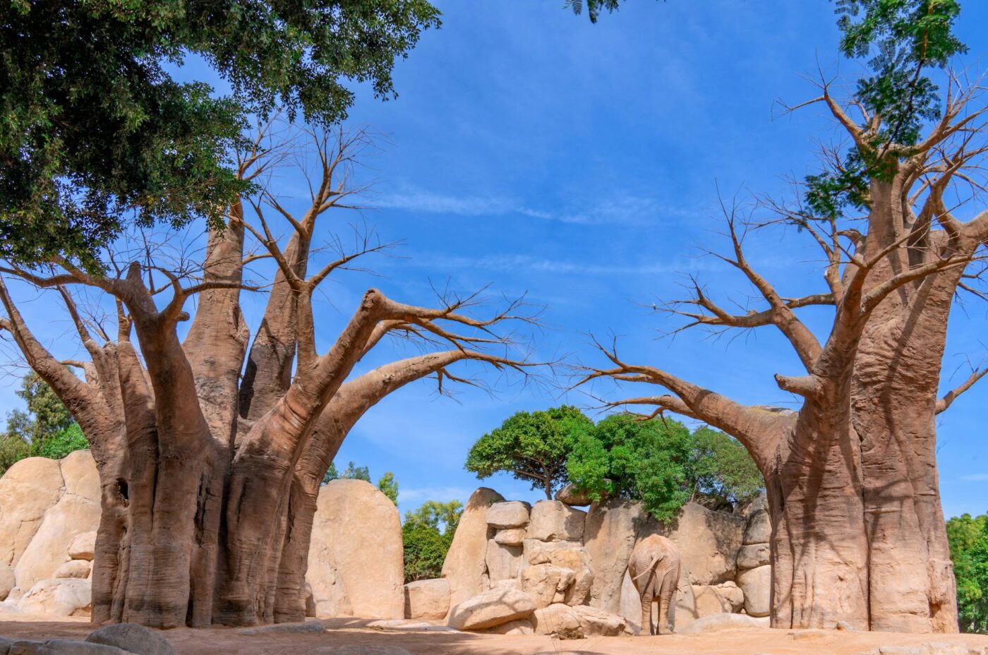 Madagascar - Cheapest Routes to Madagascar from Europe