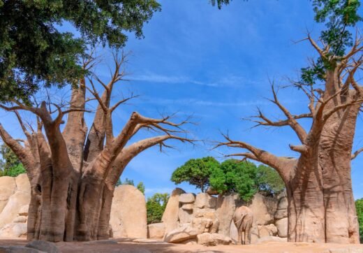 Madagascar - Cheapest Routes to Madagascar from Europe