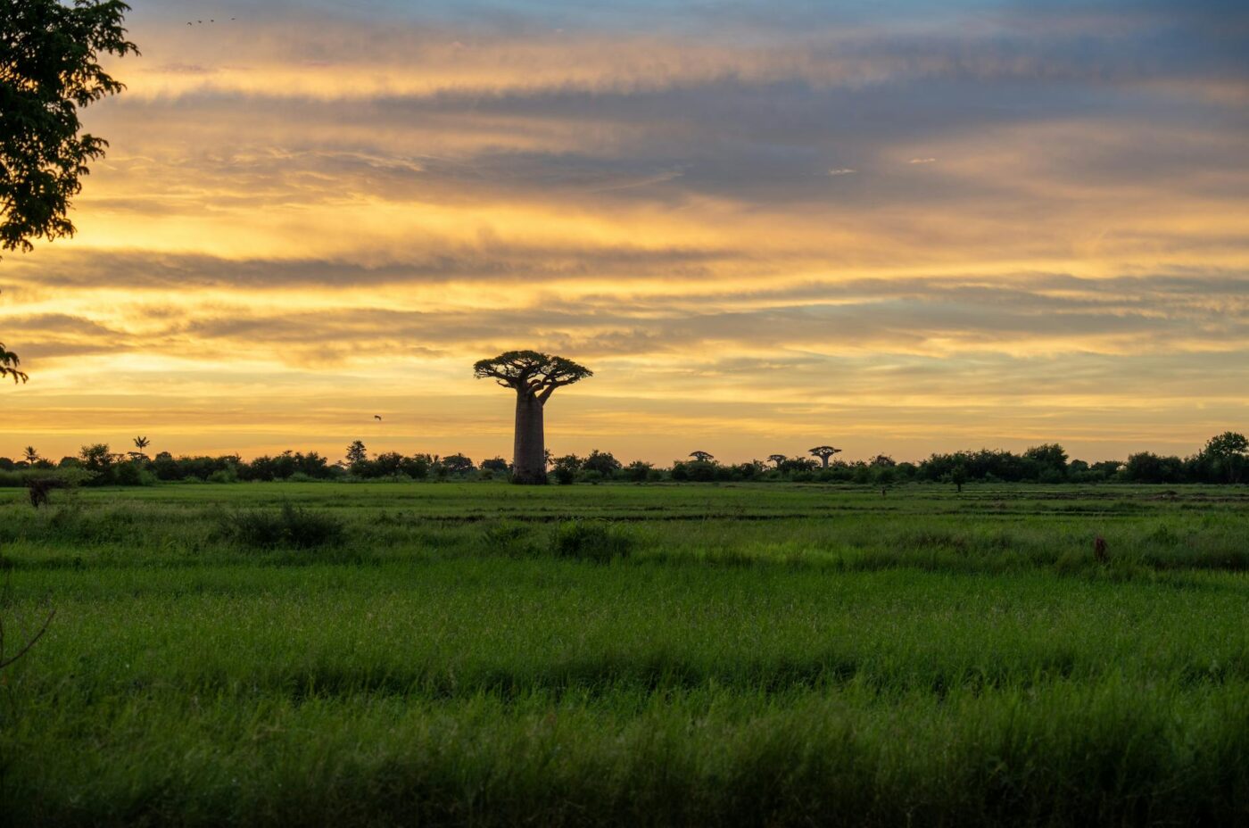 Madagascar - Cheapest Routes to Madagascar from Europe