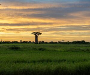 Madagascar - Cheapest Routes to Madagascar from Europe