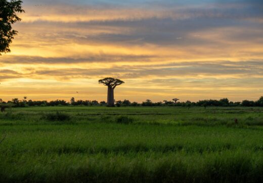 Madagascar - Cheapest Routes to Madagascar from Europe