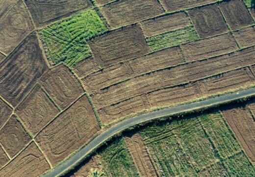 Madagascar - Domestic Airlines Madagascar Comparison