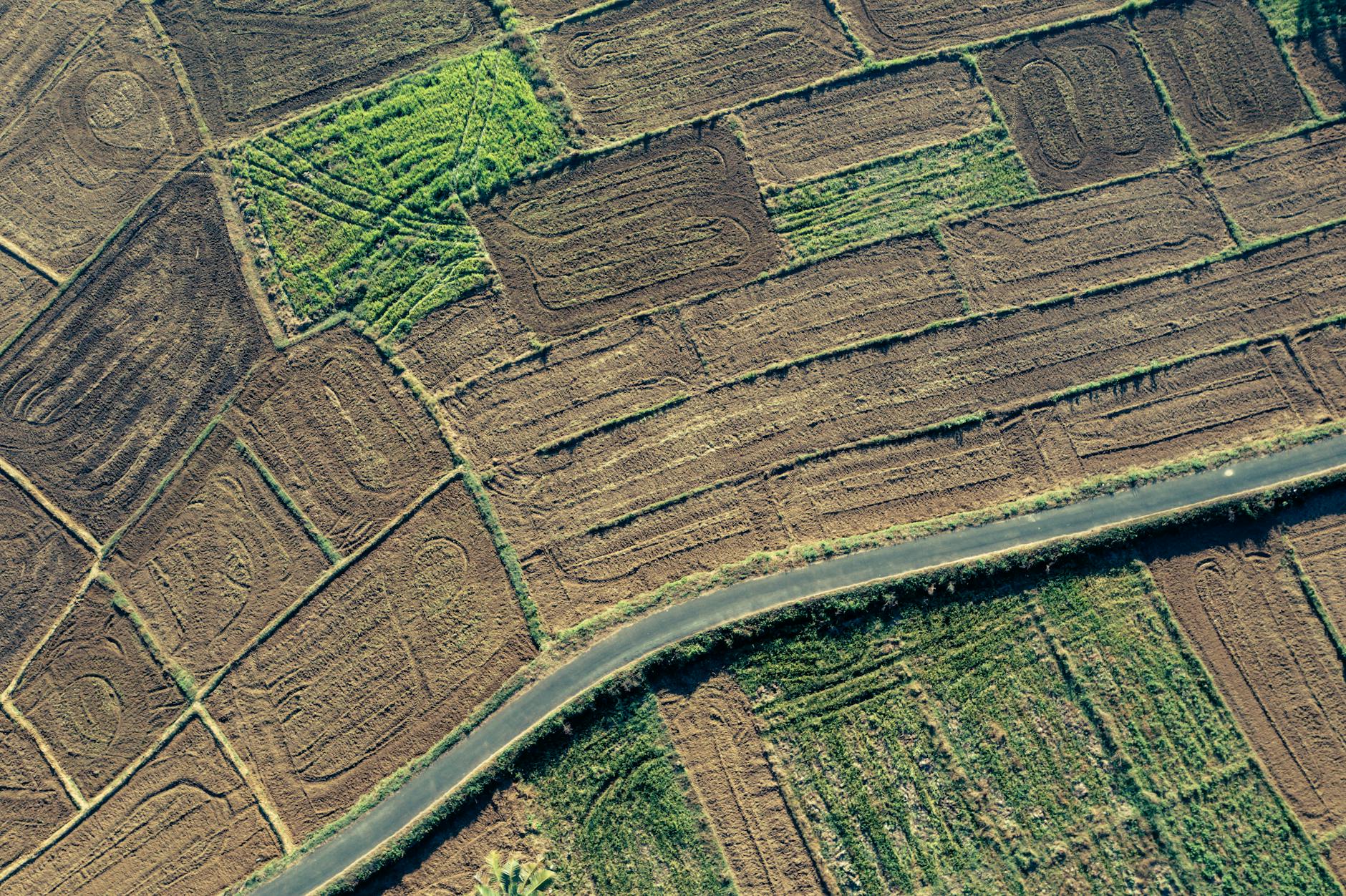 Madagascar - Domestic Airlines Madagascar Comparison