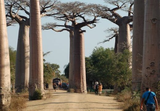 Madagascar landscape near coastal town