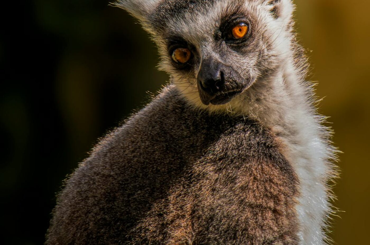 Madagascar airplane travel routes cheap flights tips