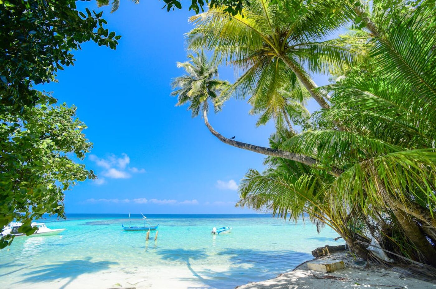 Beautiful tropical beach with palm trees and turquoise water in Madagascar