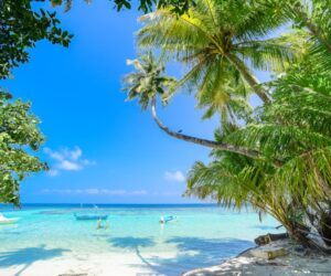 Beautiful tropical beach with palm trees and turquoise water in Madagascar
