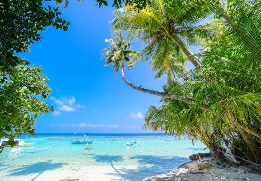 Beautiful tropical beach with palm trees and turquoise water in Madagascar