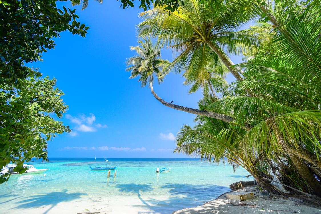 Beautiful tropical beach with palm trees and turquoise water in Madagascar