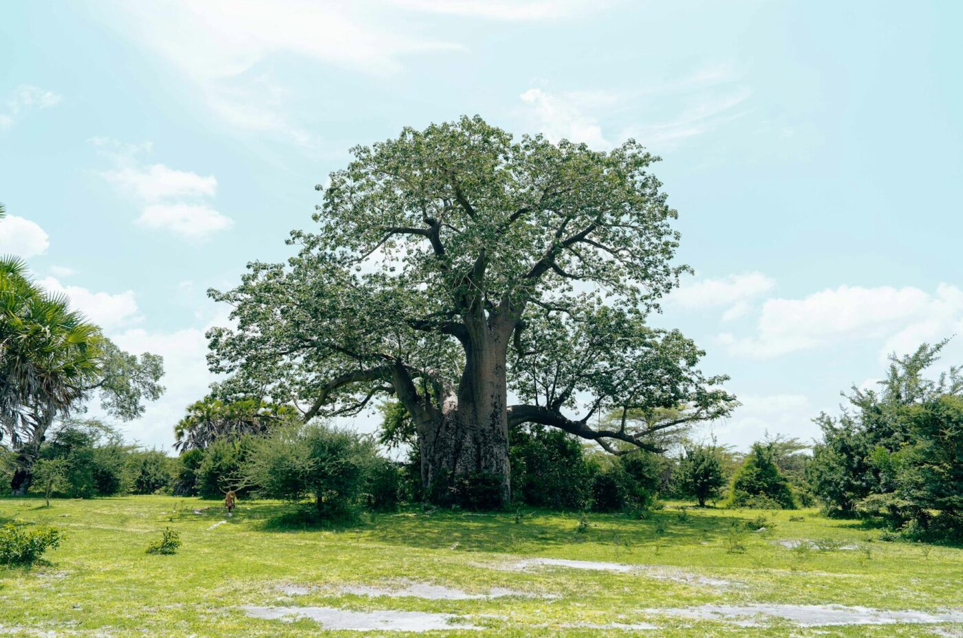 Madagascar - Madagascar Itinerary 10 Days Plan