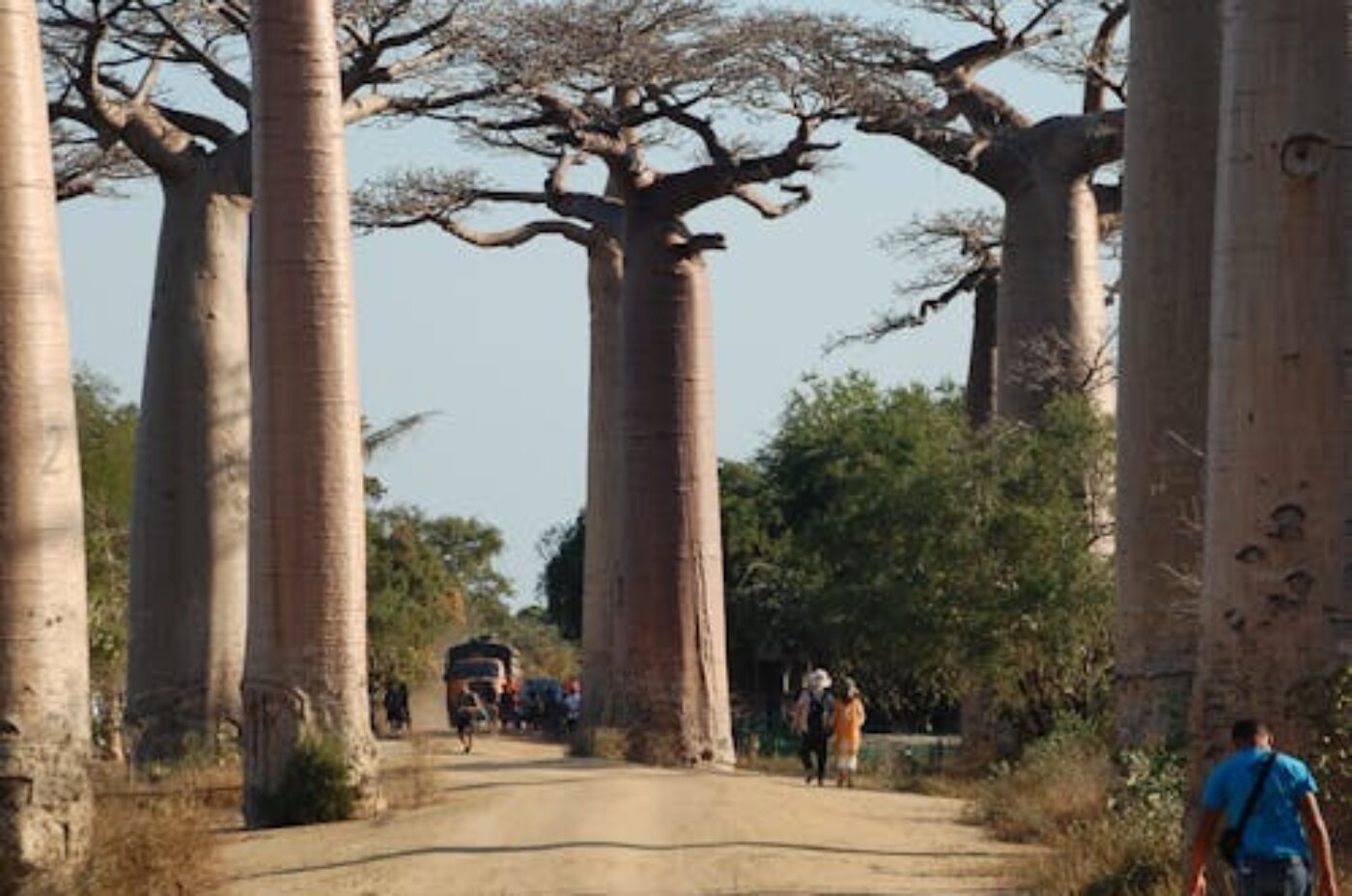 Luxury eco-lodge in Madagascar tropical forest