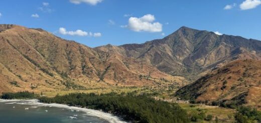 Madagascar tropical weather dry season landscape