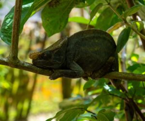 Madagascar landscape travel budget planning