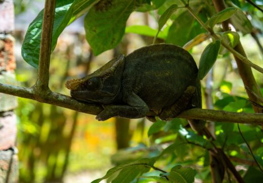 Madagascar landscape travel budget planning