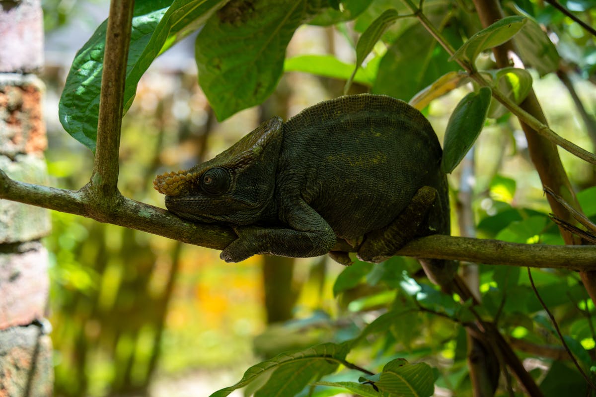 Madagascar landscape travel budget planning