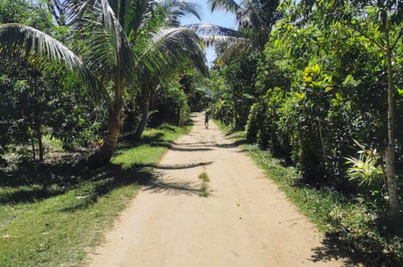 Beautiful white sand beach at Nosy Be Madagascar