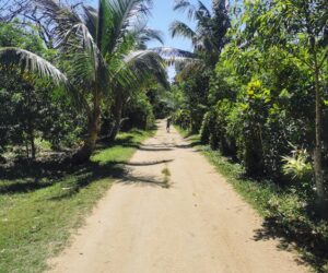 Beautiful white sand beach at Nosy Be Madagascar