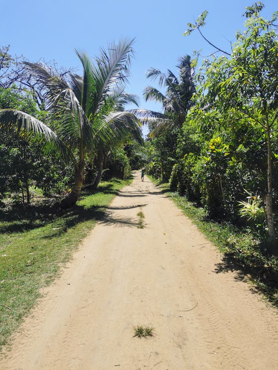 Beautiful white sand beach at Nosy Be Madagascar