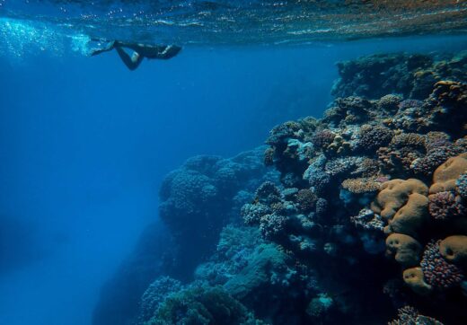 Nosy Be diving snorkeling coral reef sea turtle Madagascar