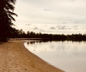 Tranquil tropical beach in Madagascar — Nosy Be island guide