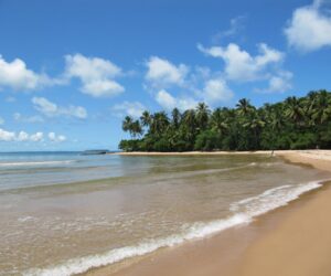 Malagasy family sharing a traditional rice meal together in Madagascar