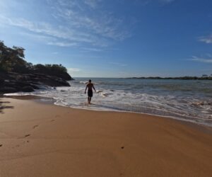 Traditional Malagasy meal with rice and local dishes served to tourists
