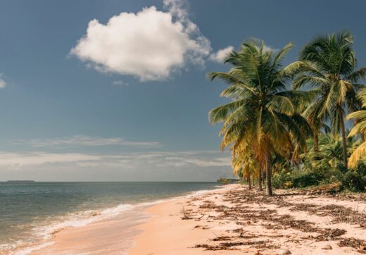 Fresh grilled seafood served at a beachfront restaurant in Nosy Be Madagascar