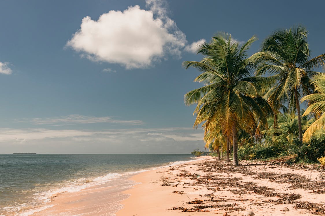 Fresh grilled seafood served at a beachfront restaurant in Nosy Be Madagascar