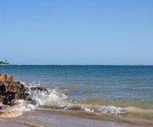 Traditional Madagascar food spread with rice and local dishes on a wooden table