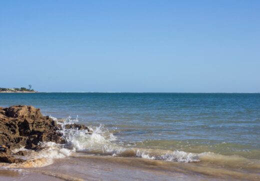 Traditional Madagascar food spread with rice and local dishes on a wooden table