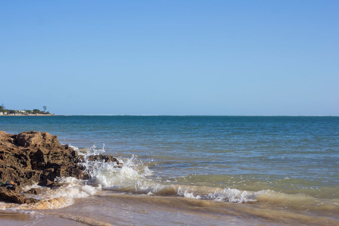 Traditional Madagascar food spread with rice and local dishes on a wooden table