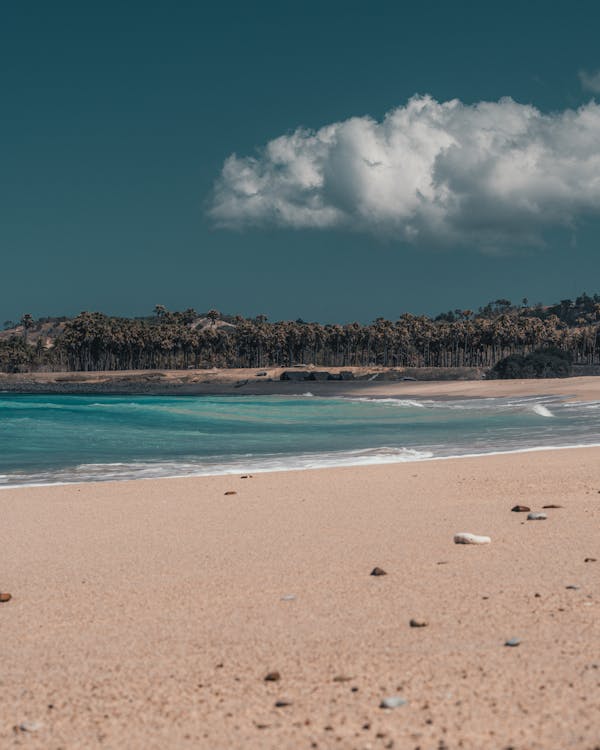 Malagasy family sharing a daily rice meal at home in Madagascar