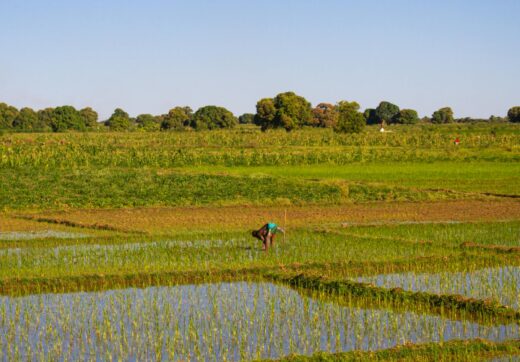 Madagascar - Public Transport Madagascar Guide