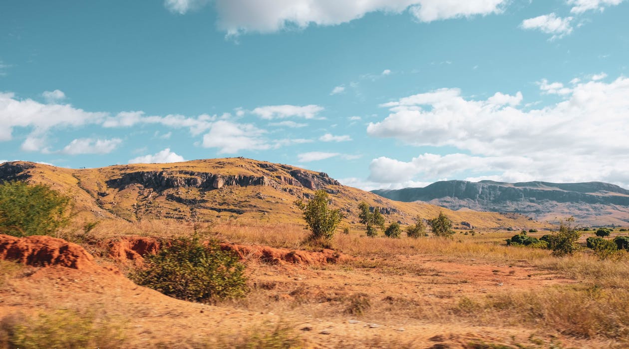 Madagascar sunny grassland landscape