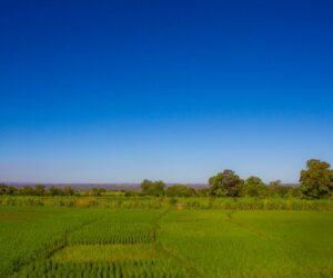 Madagascar - Road Conditions Madagascar Explained
