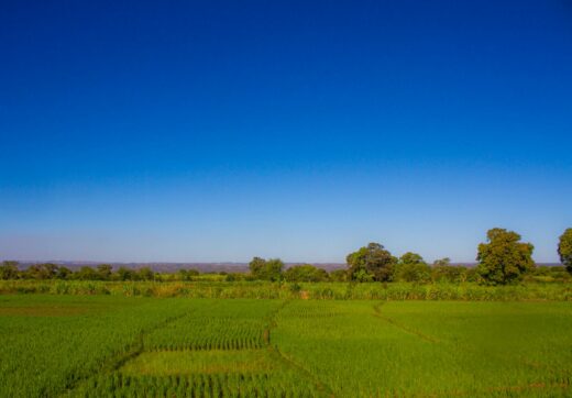 Madagascar - Road Conditions Madagascar Explained