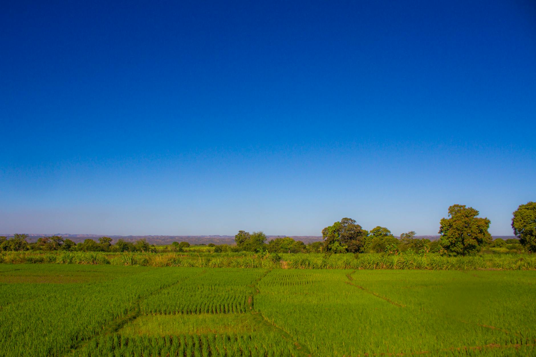 Madagascar - Road Conditions Madagascar Explained