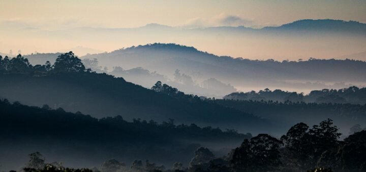 Madagascar - 10 Essential Travel Tools Every Madagascar Visitor Needs 2026