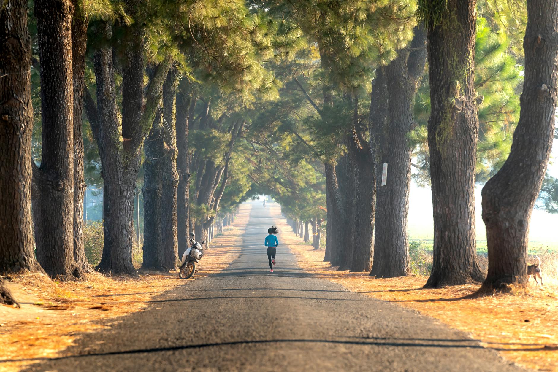2-Day Isalo Itinerary: Gorges, Swimming Holes and Sunset Rocks — Madagascar