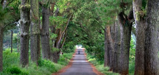 Madagascar - 3-Week Madagascar Itinerary: The Complete 21-Day Route 2026