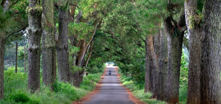 Madagascar - 3-Week Madagascar Itinerary: The Complete 21-Day Route 2026