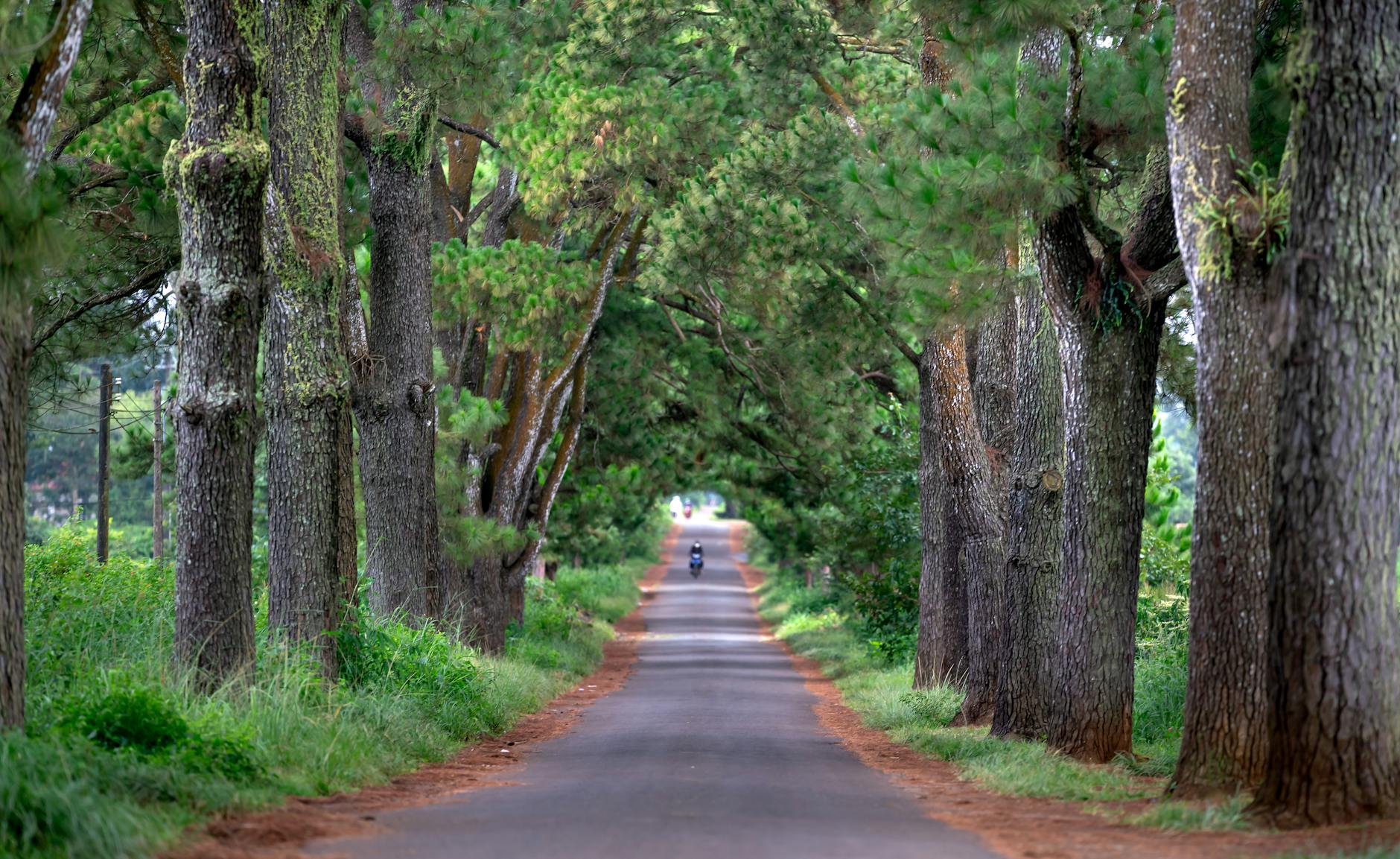 3-Week Madagascar Itinerary: The Complete 21-Day Route 2026 — Madagascar