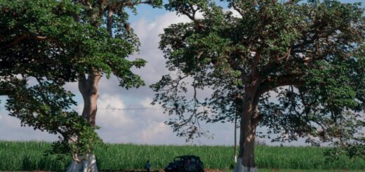 Madagascar - 4-Day Fort Dauphin Itinerary: Anosy Region and South Coast 2026